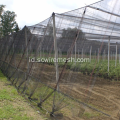 Diamond Hole Rajutan HDPE Anti Bird / Pigeon Net